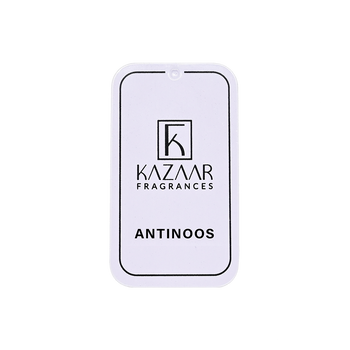 Antinoos Solid